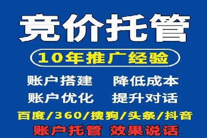 推广竞价策略优化：借鉴成功案例实现精准营销